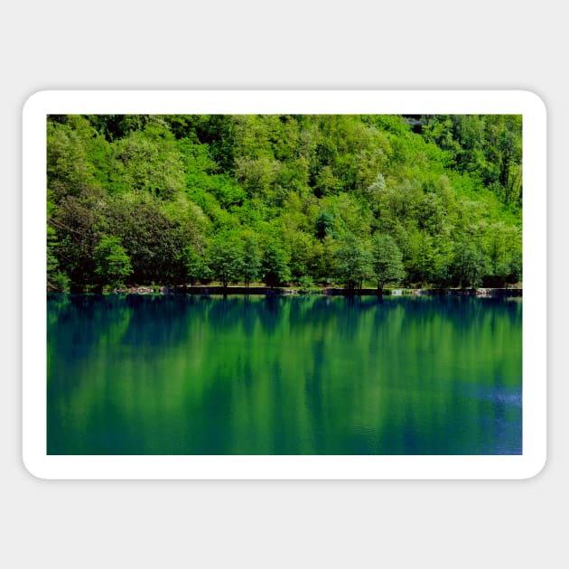 Beautiful emerald lake in a magical forest Sticker by chiaravisuals